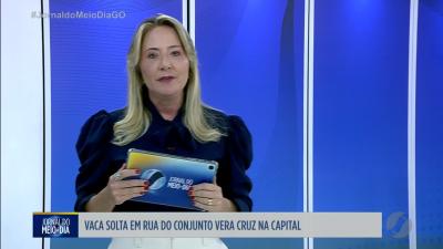 Vaca solta em rua do Conjunto Vera Cruz em Goi&acirc;nia