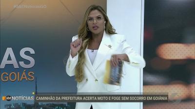itemBombeiros salvam urutau preso em linha de cerol