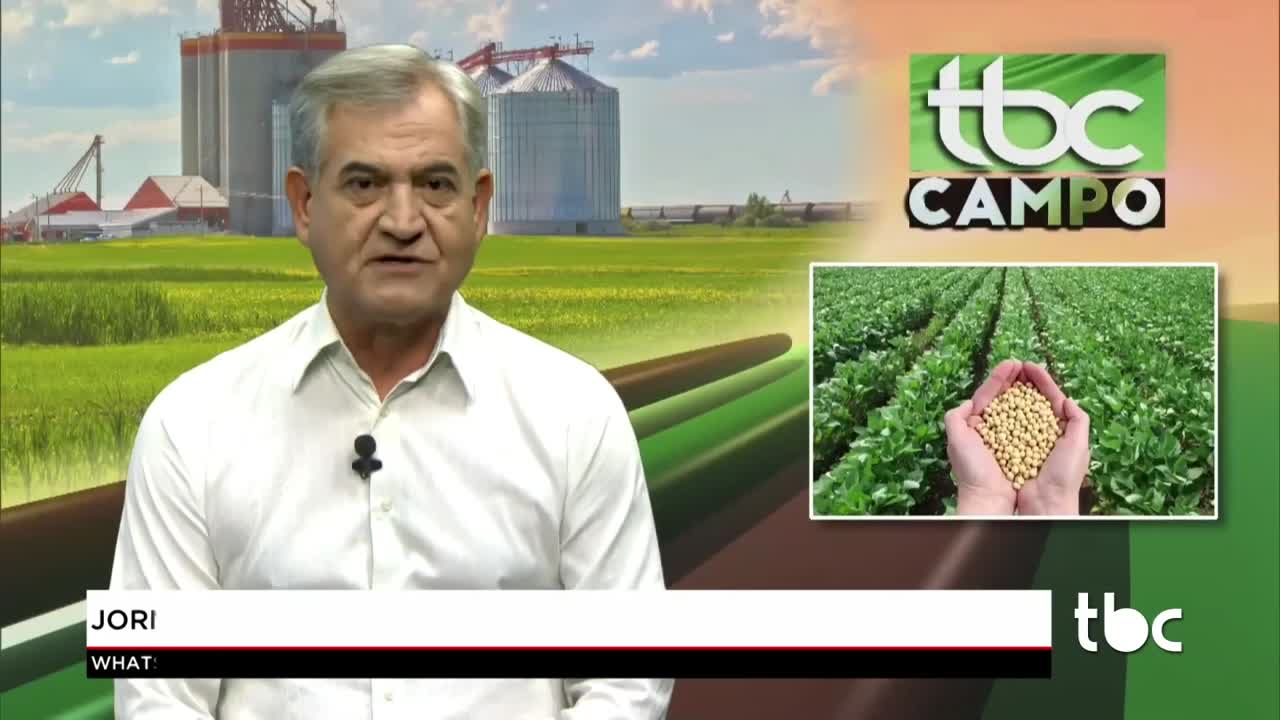 itemJornalista Juscelino Kubistchek morreu neste Domingo