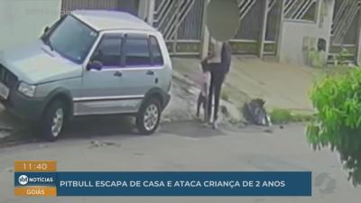 itemPitbull escapa de casa e ataca criança de dois anos em Goiânia