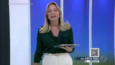 Jiboia &eacute; resgatada dentro de resid&ecirc;ncia em Quirin&oacute;polis