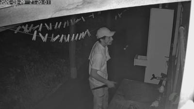 Homem com faca tenta invadir casas e assusta moradores