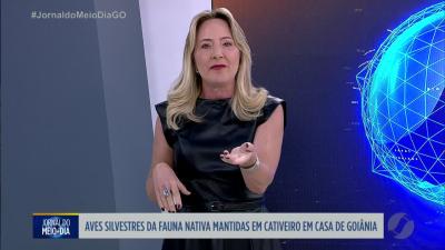 itemAves silvestres mantidas em cativeiro em casa de Goiânia