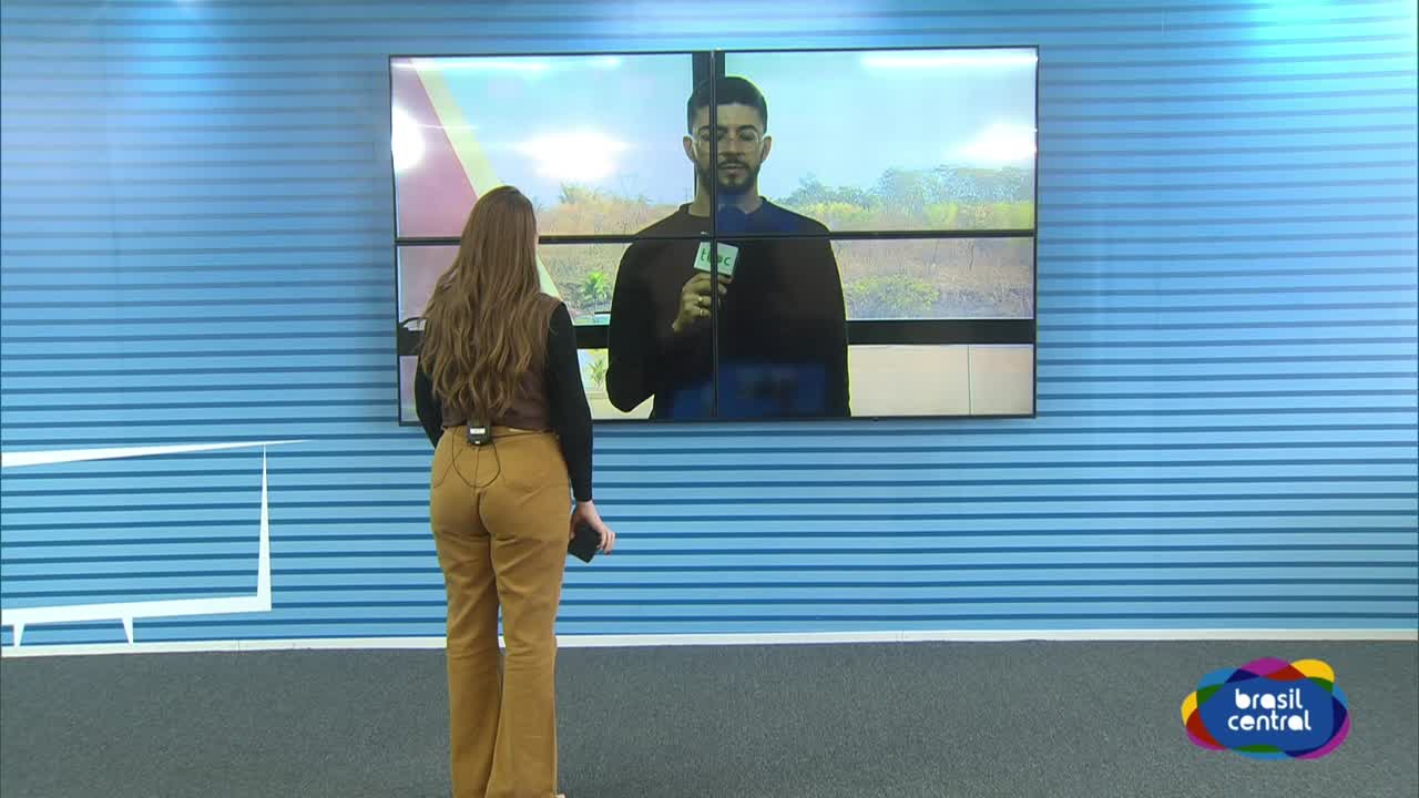 itemAvião cai após bater em Árvore durante pouso