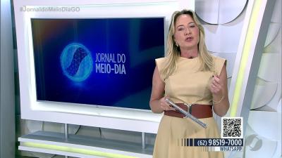 itemCães de rua recebem cuidados e treinamento para encontrar um lar
