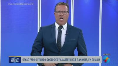 Motorista bate violentamente em carro em Goi&acirc;nia