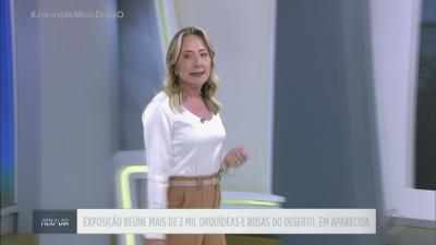 Exposi&ccedil;&atilde;o re&uacute;ne mais de 2 mil orqu&iacute;deas e rosas do deserto, em Aparecida