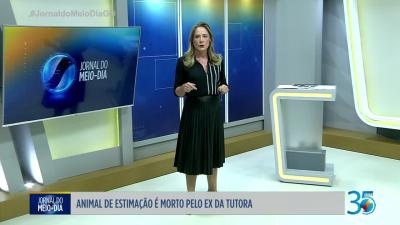 itemPolícia Civil procura homem que matou cachorro da ex-mulher em Pontalina