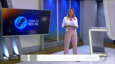 Droga carimbada é apreendida com casal no leste goiano