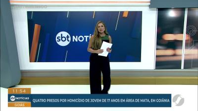 itemPai, mãe e filho morrem em colisão frontal na GO-210