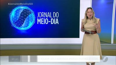 itemAgentes de trânsito resgatam cadela abandonada amarrada na avenida 85 em Goiânia
