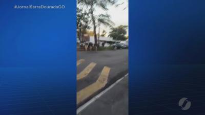 itemVacas soltas no meio da rua na Cidade Jardim em Goiânia