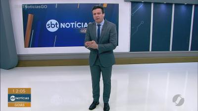 Cadela morre ap&oacute;s ataque de pit bull