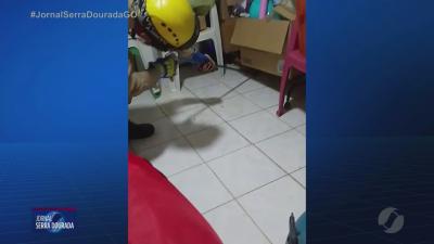 itemJiboia passa a noite em casa de Cidade Ocidental