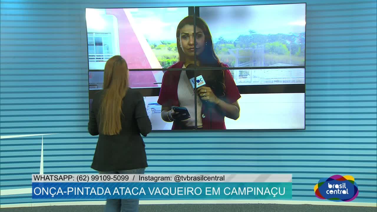 itemOnça-pintada ataca Homem em Campinaçu