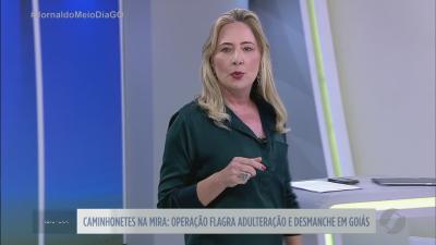 Opera&ccedil;&atilde;o flagra adultera&ccedil;&atilde;o e desmanche de ve&iacute;culos em Goi&aacute;s
