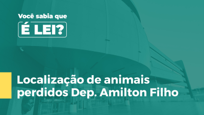 Imagem de capa do vídeo - Localização de animais perdidos  Deputado Amilton Filho