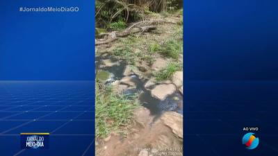 itemMorte de peixes em manancial provocada por poluição em Cezarina