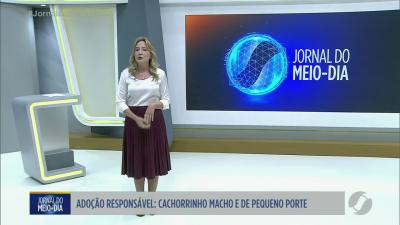 itemRepórter Cidadão