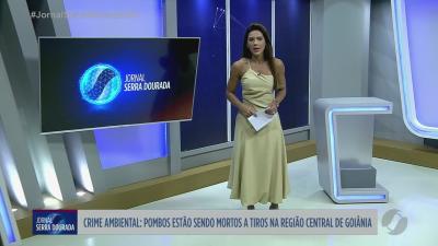 Defensoria Pública de Goiás alerta sobre golpe