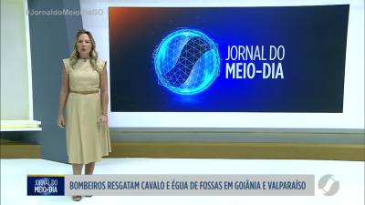 itemA Importância do uso de equipamentos de proteção em atividades de risco