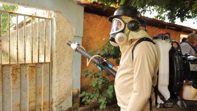 itemNotificações de casos de dengue seguem em queda em Goiânia, mas cuidados de prevenção ao mosquito