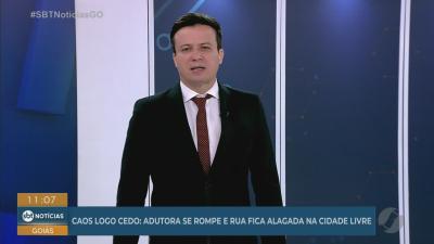 PC investiga suspeita de envenenamento de animais em condom&iacute;nio de Goi&acirc;nia