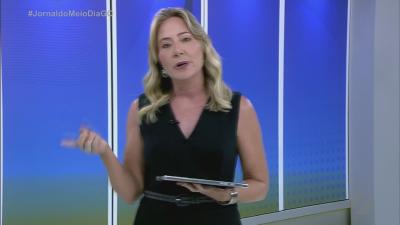 Cachorrinhos desaparecidos mobilizam buscas