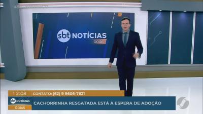 Criminosos alteravam decis&otilde;es para colocar processos falsos para Presidente Lula e Ministro Alexandre Moraes