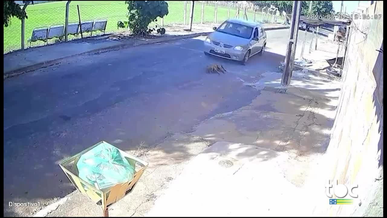 Policia Civil identificou Motorista que atropelou e Matou Cachorro em Piracanjuba