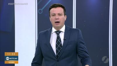On&ccedil;a-parda &eacute; resgatada, mas morre ap&oacute;s atendimento