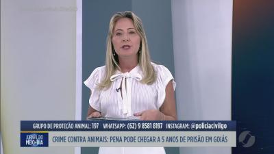 Tecnoshow 2026 movimenta o agroneg&oacute;cio em Rio Verde