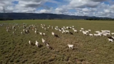 Debate sobre o pre&ccedil;o da carne foi terceiro mais visualizado de 2023 do quadro "NaTribuna"