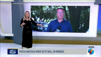 PC investiga morte de pitbull em Mineiros