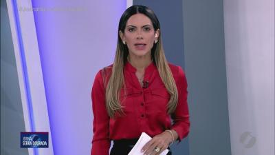 itemCão farejador localiza drogas em mala na rodoviária de Goiânia