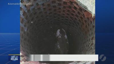 itemA vaca foi pro buraco resgate foi feito por bombeiros em Quirinópolis