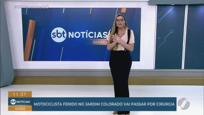 Cachorro abandonado &eacute; resgatado e busca novo lar