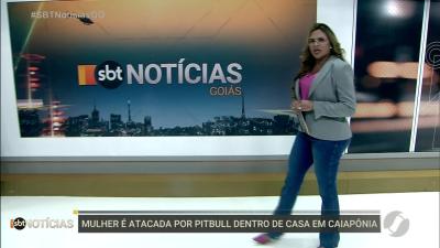 itemMulher é atacada por pitbull dentro de casa em Caiapônia