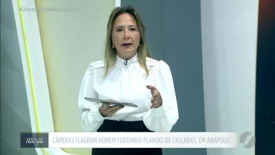 itemHomem furta plantas de calçadas em Anápolis