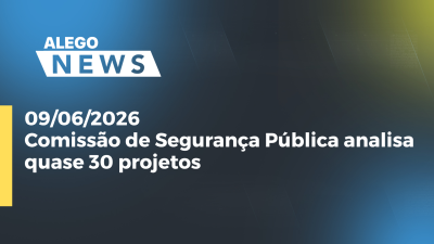 itemComissão de Segurança Pública analisa quase 30 projetos