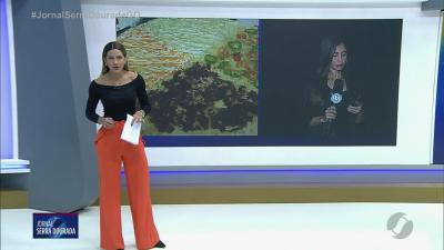 itemComo aderir ao ressarcimento de fraudes no INSS a partir de amanhã