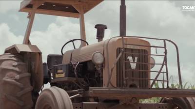 Conhe&ccedil;a a Agrotins 2019