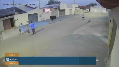 Pit bull solto assusta moradores em Trindade