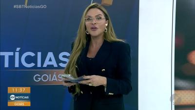 itemCães para adoção