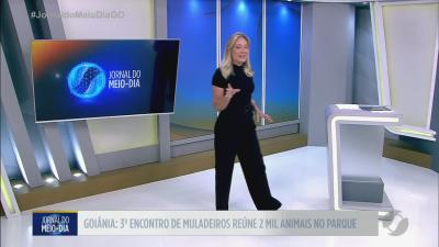 Encontro de muladeiros re&uacute;ne 2 mil animais em Goi&acirc;nia