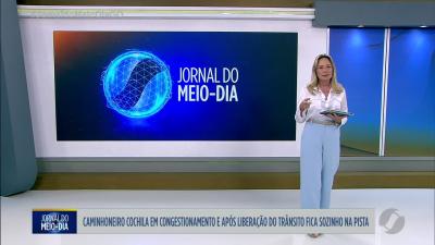 BPCÃES da PM vai adestrar animais resgatados