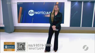 Crueldade - mulher &eacute; presa por abandonar filhotes