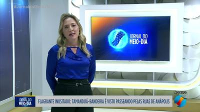 itemQuase três mil novas vagas anunciadas para educação infantil em Goiânia