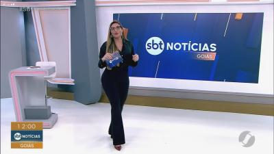 Fam&iacute;lia procura cachorrinha Lis desaparecida