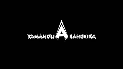 Tamanduá Bandeira